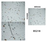 LVT floor square_mlgwallpanel 001-006 - Image 4